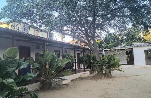 Papare House | Casa de Alonzo