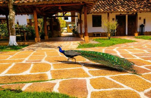 Villanueva Hotel | Hotel Finca Buenos Aires Barichara