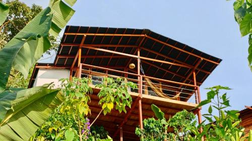 Minca Cabin | Minca Sintropia - Sustainable Lodge & Organic Coffee Finca