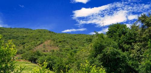 Toro House | Hacienda La Tulia Eco Hotel