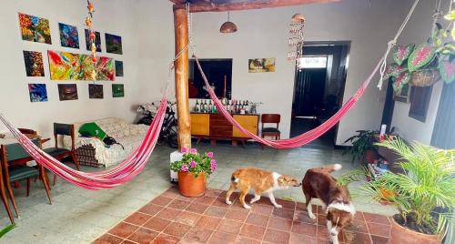 Curiti House | Hospedaje MagiAventura Curití - Centro y Aventura