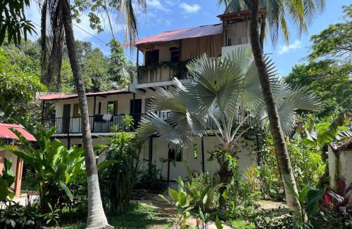 Palomino Bed & Breakfast | Dog Shelter Café Palomino