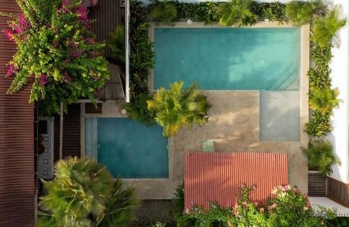 Palomino Villa | Villa Arum - Casas La Floristeria