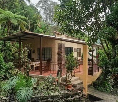 Alban House | El Girasol alojamiento rural