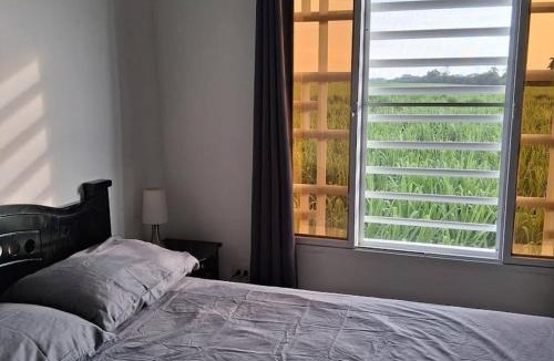 El Cerrito Apartment | Alojamiento El Porvenir
