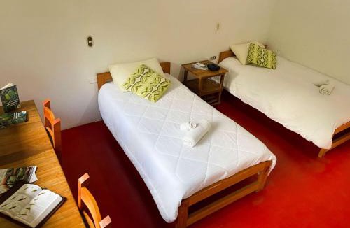 El Carmen de Atrato Cabin | Las Tangaras Reserve