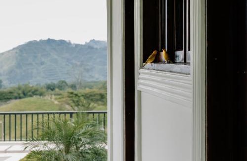 Pereira Hotel | Hotel Catleya Royal Club