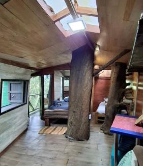 Guarne Apartment | Casa en el Arbol - Cerca Metrocable ARVI - Camping
