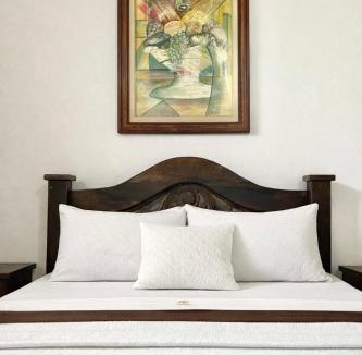 San Francisco Hotel | La Casa del Arbol