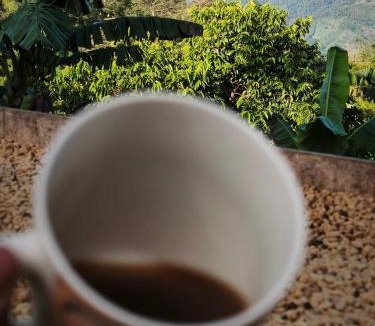 Libano House | Finca Cafetera Los Ángeles