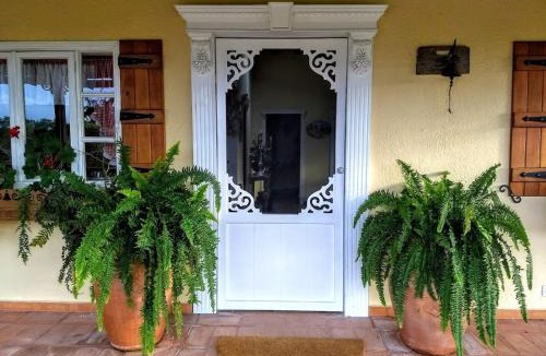 Piedecuesta House | El Oasis Organic Farm