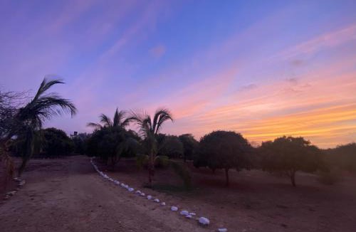 Dibulla Hotel | Coccoloba Beach Hostel