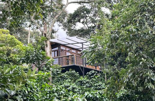 San Francisco Ski Chalet | Cabaña tipo glamping en finca cafetera con zonas verdes, avistamiento de aves, paisaje cafetero
