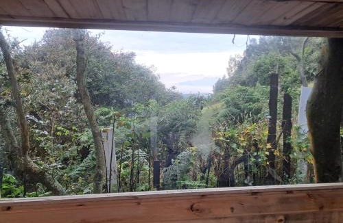 Cajica Other | Chalet CAJIK Project, tipo Nordico