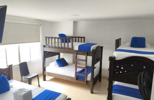 Palmira Apartment | hotel koral palmira