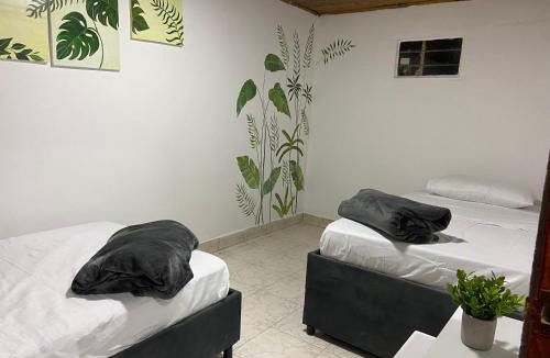 Filandia Apartment | Hostal Amelia Filandia