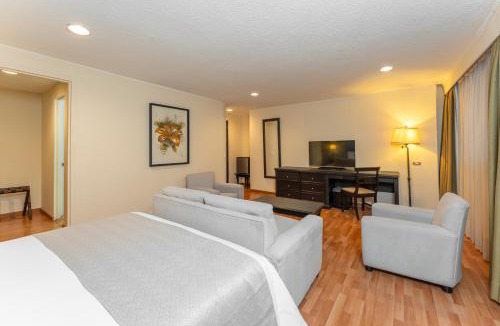 La Candelaria Hotel | Hotel Dann Av. 19