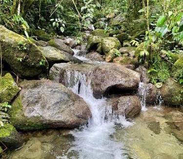 Cocorna Hotel | Soplo del Tambo - Naturaleza y Bienestar