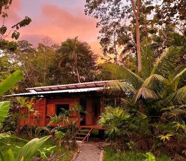 Nuqui Cabin | Casa Caimito