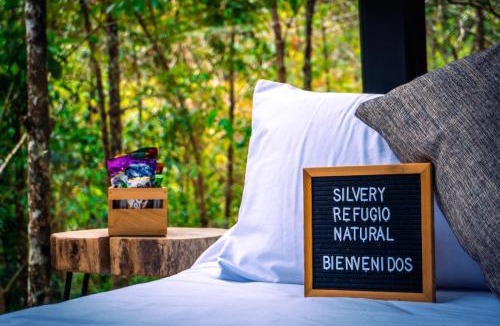 San Carlos Hotel | Silvery Bungalows en el Bosque