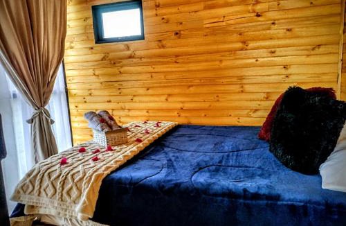 Pandi Other | Cabaña Romántica con jacuzzi privado