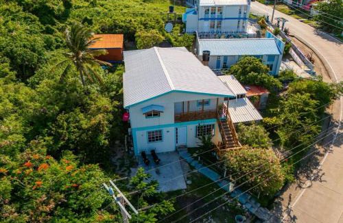 Providencia Bed & Breakfast | Colorful Garden House