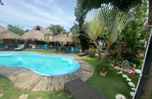 Palomino Hostel | Bikini Hotel & Pool
