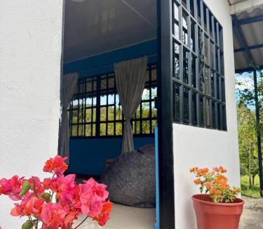 Barbosa House | Jacuzzi - flores en la colina 2