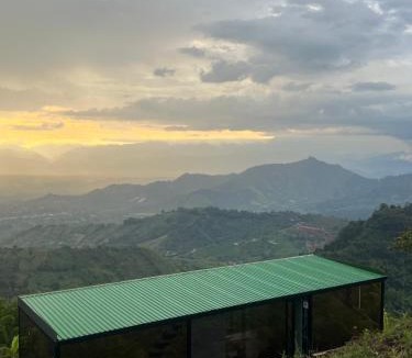 Pereira Other | Cristal de guadua Pereira