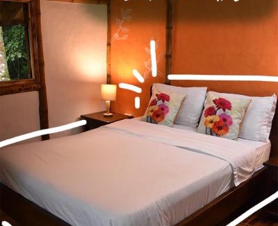 La Vega Hotel | Ecohotel Monteverde