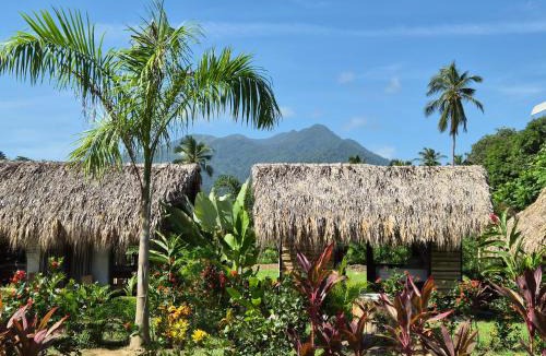 Palomino Bed & Breakfast | Dos Peladas Hostal