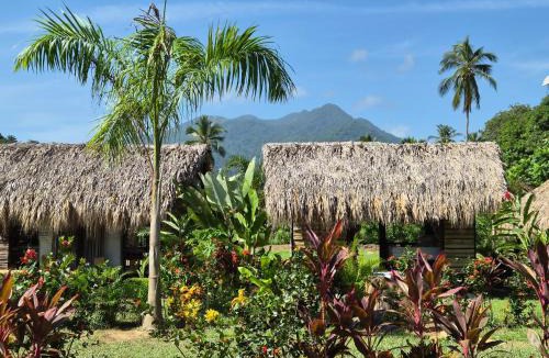 Palomino Bed & Breakfast | Dos Peladas Hostal