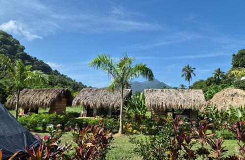 Palomino Bed & Breakfast | Dos Peladas Hostal