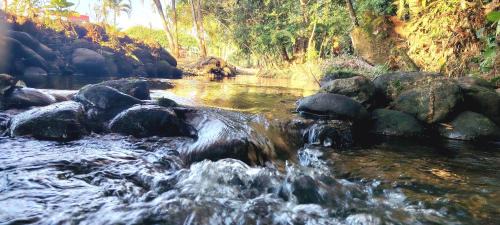 Acacias Villa | El venado