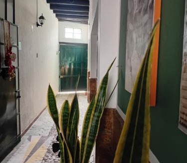 Villa de Leyva House | Aparta Hotel Eucalyptus