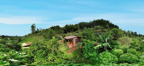 Filandia House | Tesorito House en las Montañas del Quindío