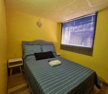 Barrios Unidos House | Casa Dohko
