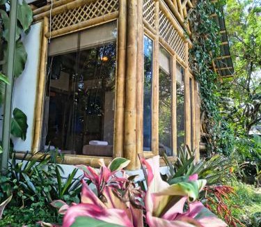 Chinauta Hotel | HOTEL Casa del Árbol ECOPARQUE CHINAUTA