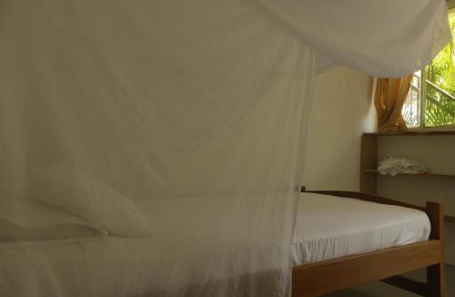 Palomino Bed & Breakfast | Dog Shelter Café Palomino