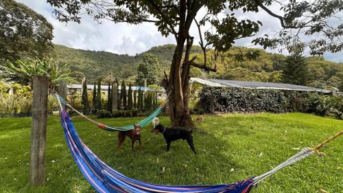 El Capuli House | Padua Finca Hotel