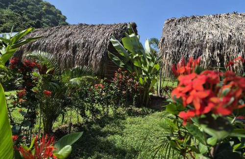 Palomino Bed & Breakfast | Dos Peladas Hostal