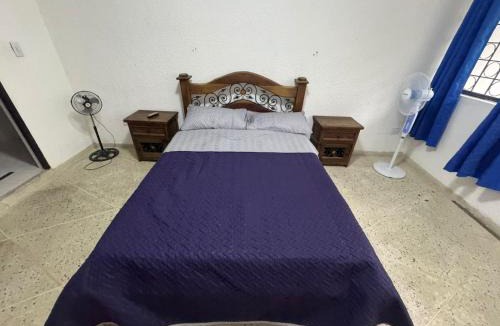 Flandes House | Hotel Flandes Orquídeas
