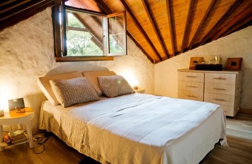 Quimbaya Ski Chalet | Beautiful and comfortable estate for 10 people from 450,000