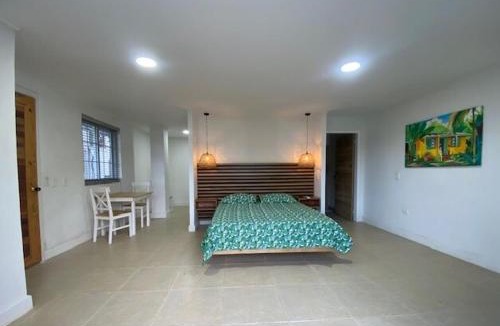 Punta Sur Apartment | Savannah Inn, Suite 201