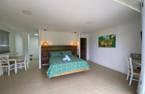 Punta Sur Apartment | Savannah Inn Studio 101