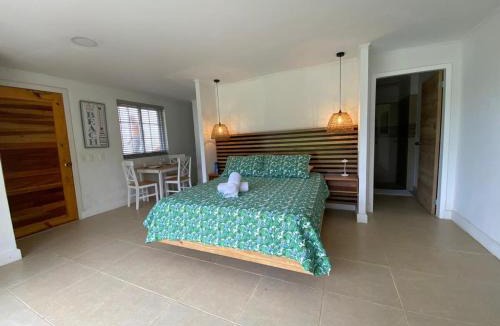 Punta Sur Apartment | Savannah Inn Studio 101