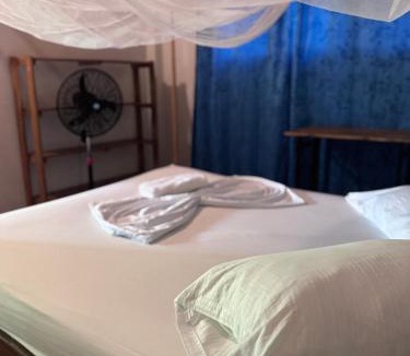 Palomino House | Casa Surf Mar Azul