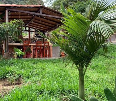 Aratoca Other | Ana Lucia-Casa del arbol