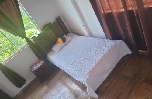 Piedecuesta House | Trekkers haven Bed & Spanish lessons