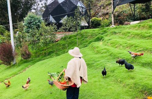 Guatavita Cabin | Glamping Bosque del Colibri